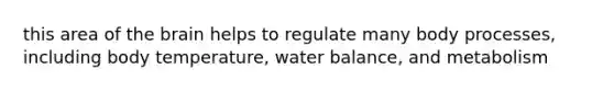 this area of the brain helps to regulate many body processes, including body temperature, water balance, and metabolism