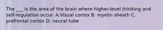 The ___ is the area of the brain where higher-level thinking and self-regulation occur. A.Visual cortex B. myelin sheath C. prefrontal cortex D. neural tube