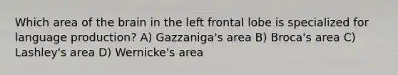 Which area of the brain in the left frontal lobe is specialized for language production? A) Gazzaniga's area B) Broca's area C) Lashley's area D) Wernicke's area