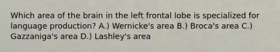 Which area of the brain in the left frontal lobe is specialized for language production? A.) Wernicke's area B.) Broca's area C.) Gazzaniga's area D.) Lashley's area