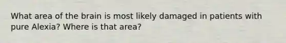 What area of <a href='https://www.questionai.com/knowledge/kLMtJeqKp6-the-brain' class='anchor-knowledge'>the brain</a> is most likely damaged in patients with pure Alexia? Where is that area?