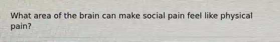 What area of the brain can make social pain feel like physical pain?