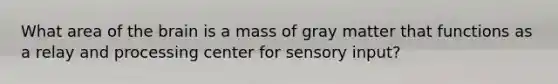 What area of the brain is a mass of gray matter that functions as a relay and processing center for sensory input?