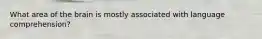 What area of the brain is mostly associated with language comprehension?