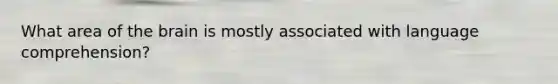 What area of the brain is mostly associated with language comprehension?