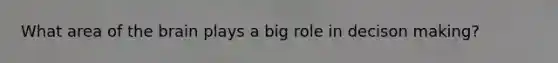 What area of the brain plays a big role in decison making?