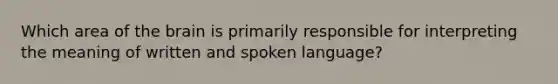 Which area of the brain is primarily responsible for interpreting the meaning of written and spoken language?