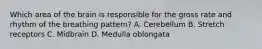 Which area of the brain is responsible for the gross rate and rhythm of the breathing​ pattern? A. Cerebellum B. Stretch receptors C. Midbrain D. Medulla oblongata