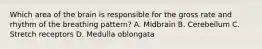 Which area of the brain is responsible for the gross rate and rhythm of the breathing​ pattern? A. Midbrain B. Cerebellum C. Stretch receptors D. Medulla oblongata