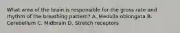What area of the brain is responsible for the gross rate and rhythm of the breathing​ pattern? A. Medulla oblongata B. Cerebellum C. Midbrain D. Stretch receptors