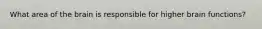 What area of the brain is responsible for higher brain functions?