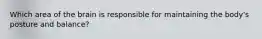 Which area of the brain is responsible for maintaining the body's posture and balance?