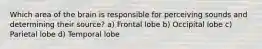 Which area of the brain is responsible for perceiving sounds and determining their source? a) Frontal lobe b) Occipital lobe c) Parietal lobe d) Temporal lobe