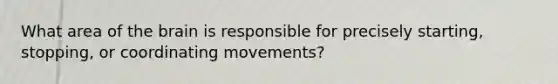 What area of the brain is responsible for precisely starting, stopping, or coordinating movements?