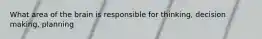 What area of the brain is responsible for thinking, decision making, planning