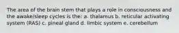 The area of the brain stem that plays a role in consciousness and the awake/sleep cycles is the: a. thalamus b. reticular activating system (RAS) c. pineal gland d. limbic system e. cerebellum