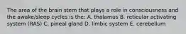 The area of the brain stem that plays a role in consciousness and the awake/sleep cycles is the: A. thalamus B. reticular activating system (RAS) C. pineal gland D. limbic system E. cerebellum