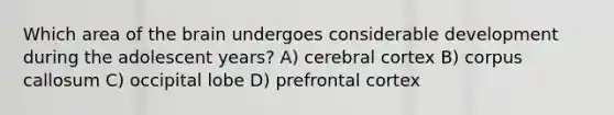 Which area of the brain undergoes considerable development during the adolescent years? A) cerebral cortex B) corpus callosum C) occipital lobe D) prefrontal cortex