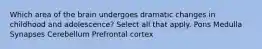 Which area of the brain undergoes dramatic changes in childhood and adolescence? Select all that apply. Pons Medulla Synapses Cerebellum Prefrontal cortex