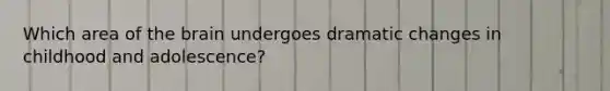 Which area of the brain undergoes dramatic changes in childhood and adolescence?