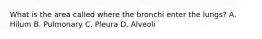 What is the area called where the bronchi enter the lungs? A. Hilum B. Pulmonary C. Pleura D. Alveoli