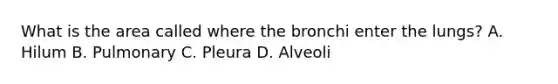 What is the area called where the bronchi enter the lungs? A. Hilum B. Pulmonary C. Pleura D. Alveoli