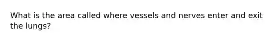 What is the area called where vessels and nerves enter and exit the lungs?