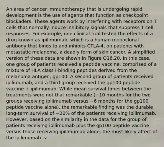 An area of cancer immunotherapy that is undergoing rapid development is the use of agents that function as checkpoint blockaders. These agents work by interfering with receptors on T cells that normally induce inhibitory signals that suppress T cell responses. For example, one clinical trial tested the effects of a drug known as ipilimumab, which is a human monoclonal antibody that binds to and inhibits CTLA-4, on patients with metastatic melanoma, a deadly form of skin cancer. A simplified version of these data are shown in Figure Q16.20. In this case, one group of patients received a peptide vaccine, comprised of a mixture of HLA class I-binding peptides derived from the melanoma antigen, gp100. A second group of patients received ipilimumab, and a third group received the gp100 peptide vaccine + ipilimumab. While mean survival times between the treatments were not that remarkable (~10 months for the two groups receiving ipilimumab versus ~6 months for the gp100 peptide vaccine alone), the remarkable finding was the durable long-term survival of ~20% of the patients receiving ipilimumab. However, based on the similarity in the data for the group of patients receiving ipilimumab plus the gp100 peptide vaccine versus those receiving ipilimumab alone, the most likely affect of the ipilimumab is: