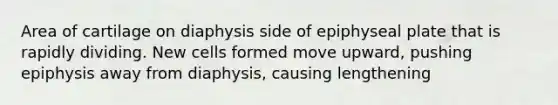 Area of cartilage on diaphysis side of epiphyseal plate that is rapidly dividing. New cells formed move upward, pushing epiphysis away from diaphysis, causing lengthening