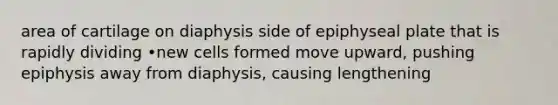 area of cartilage on diaphysis side of epiphyseal plate that is rapidly dividing •new cells formed move upward, pushing epiphysis away from diaphysis, causing lengthening