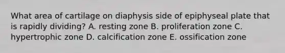 What area of cartilage on diaphysis side of epiphyseal plate that is rapidly dividing? A. resting zone B. proliferation zone C. hypertrophic zone D. calcification zone E. ossification zone