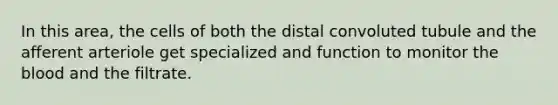 In this area, the cells of both the distal convoluted tubule and the afferent arteriole get specialized and function to monitor <a href='https://www.questionai.com/knowledge/k7oXMfj7lk-the-blood' class='anchor-knowledge'>the blood</a> and the filtrate.
