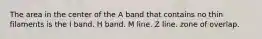 The area in the center of the A band that contains no thin filaments is the I band. H band. M line. Z line. zone of overlap.