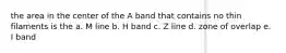 the area in the center of the A band that contains no thin filaments is the a. M line b. H band c. Z line d. zone of overlap e. I band