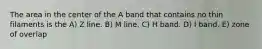 The area in the center of the A band that contains no thin filaments is the A) Z line. B) M line. C) H band. D) I band. E) zone of overlap