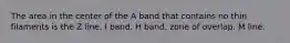 The area in the center of the A band that contains no thin filaments is the Z line. I band. H band. zone of overlap. M line.