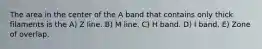 The area in the center of the A band that contains only thick filaments is the A) Z line. B) M line. C) H band. D) I band. E) Zone of overlap.