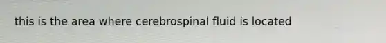 this is the area where cerebrospinal fluid is located