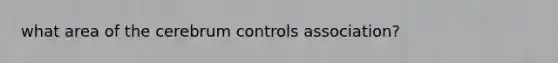 what area of the cerebrum controls association?