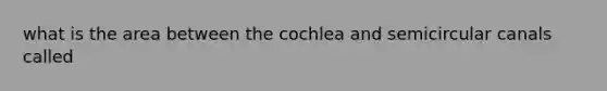 what is the area between the cochlea and semicircular canals called