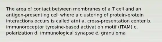 The area of contact between membranes of a T cell and an antigen-presenting cell where a clustering of protein-protein interactions occurs is called a(n) a. cross-presentation center b. immunoreceptor tyrosine-based activation motif (ITAM) c. polarization d. immunological synapse e. granuloma