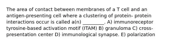 The area of contact between membranes of a T cell and an antigen-presenting cell where a clustering of protein- protein interactions occur is called a(n) _________. A) immunoreceptor tyrosine-based activation motif (ITAM) B) granuloma C) cross-presentation center D) immunological synapse. E) polarization