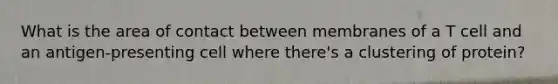 What is the area of contact between membranes of a T cell and an antigen-presenting cell where there's a clustering of protein?