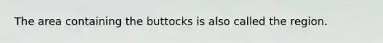 The area containing the buttocks is also called the region.