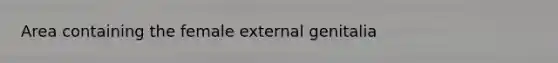 Area containing the female external genitalia