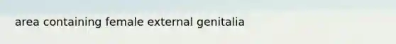 area containing female external genitalia