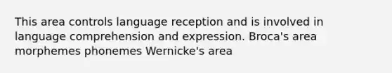 This area controls language reception and is involved in language comprehension and expression. Broca's area morphemes phonemes Wernicke's area