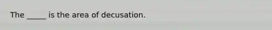 The _____ is the area of decusation.