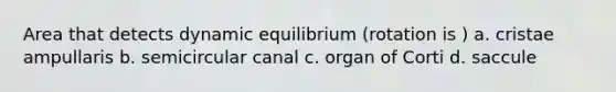 Area that detects dynamic equilibrium (rotation is ) a. cristae ampullaris b. semicircular canal c. organ of Corti d. saccule