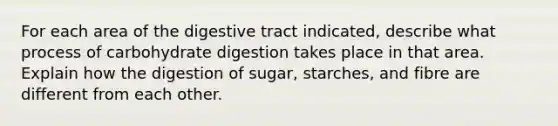 For each area of the digestive tract indicated, describe what process of carbohydrate digestion takes place in that area. Explain how the digestion of sugar, starches, and fibre are different from each other.